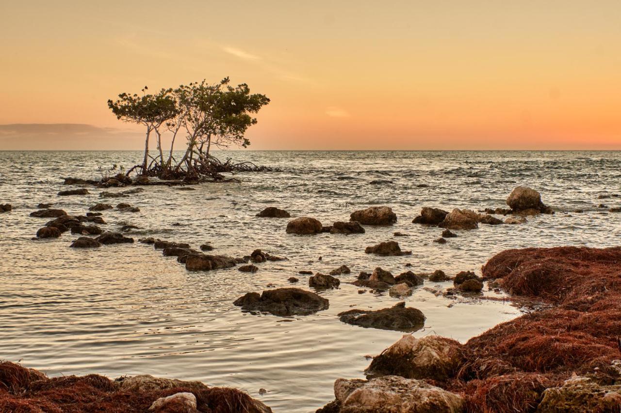 Isla Bella Beach Resort & Spa - Florida Keys Marathon Exterior photo